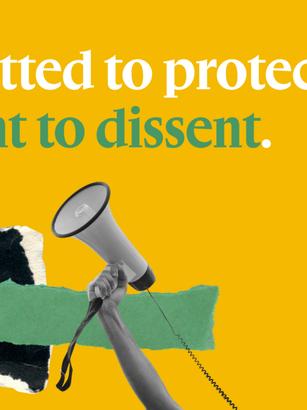 First Amendment Banner