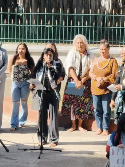 Midwifery press conference.png