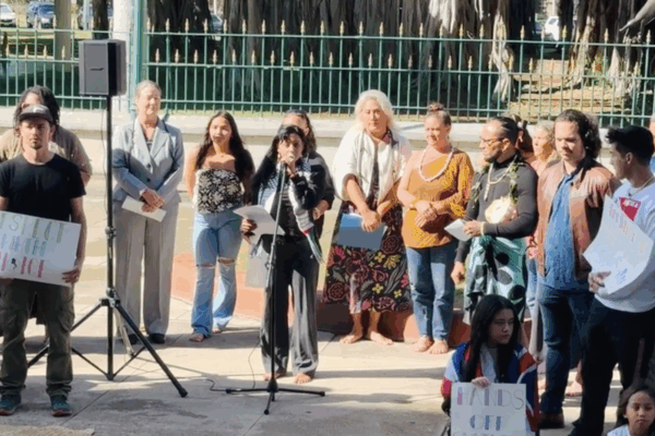 Midwifery press conference.png