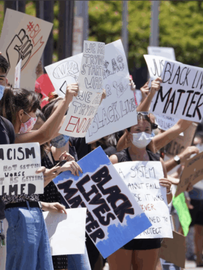 hawaii protest.png