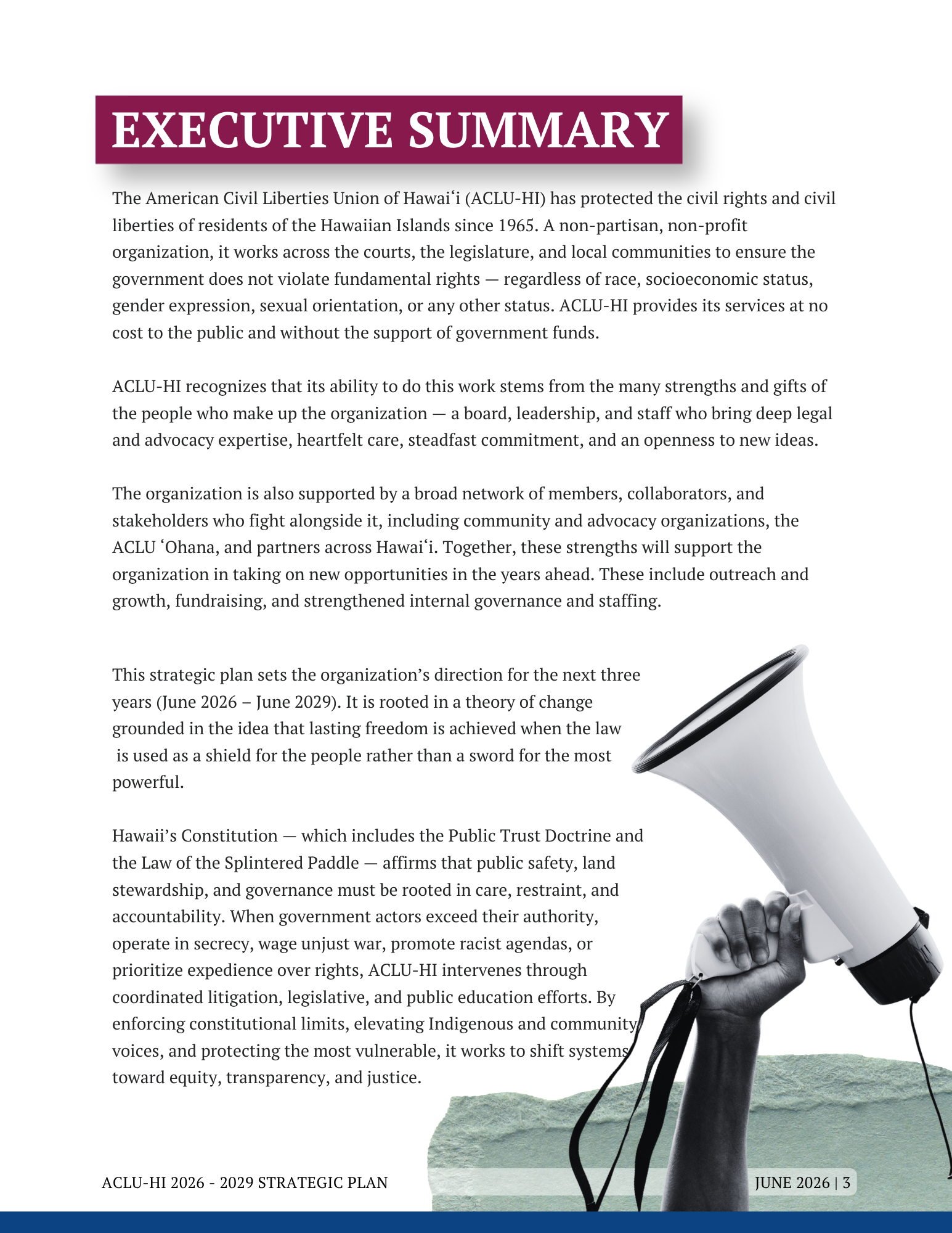 text of the strategic plan summary