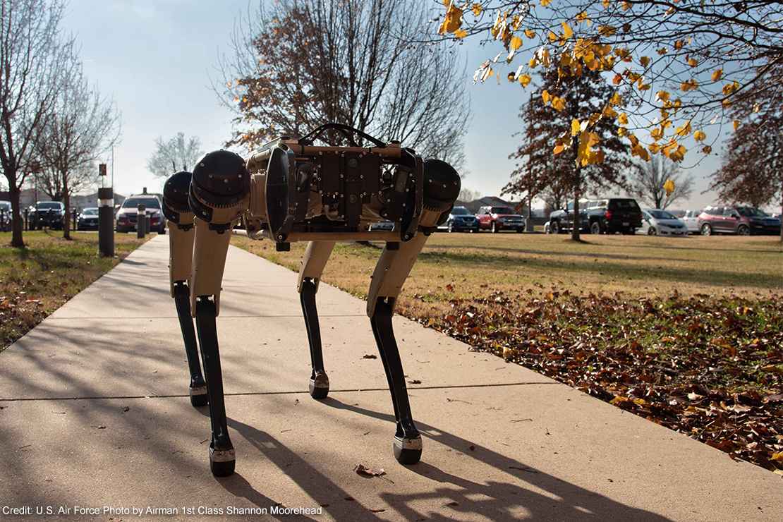A semi-autonomous robot dog walking on a sidewalk.
