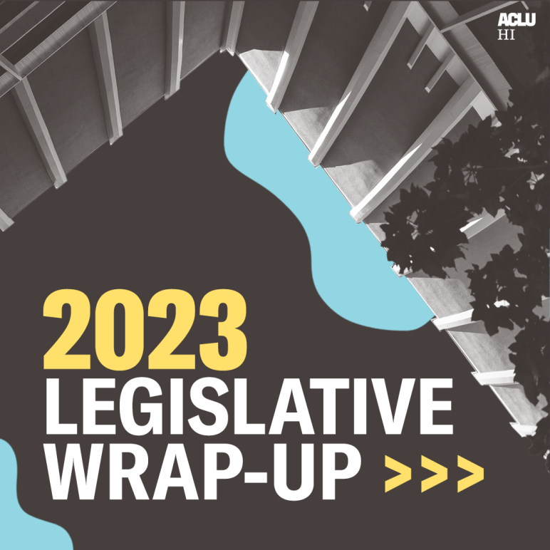 2023 Leg Wrap report