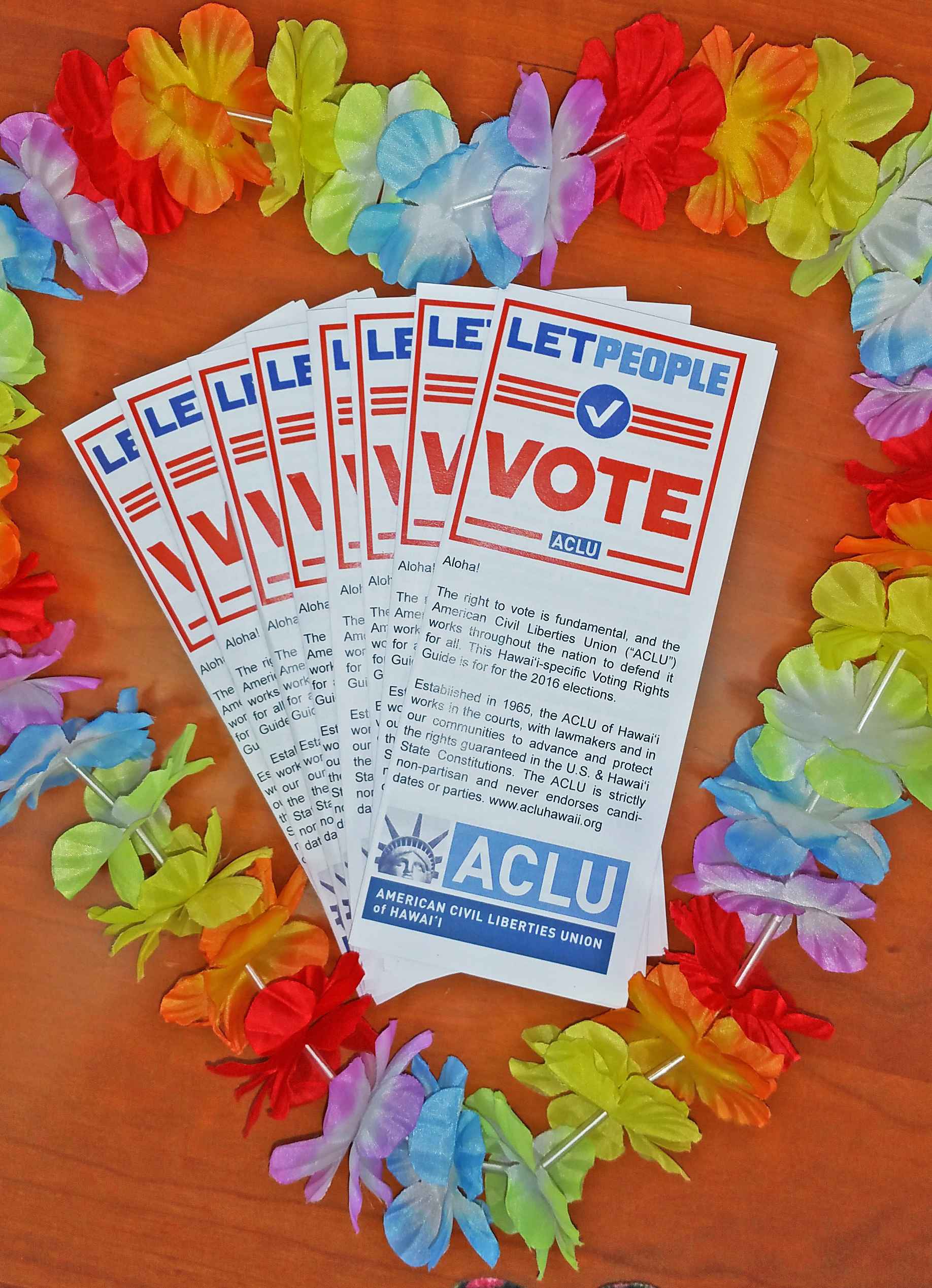 voting_rights_lei