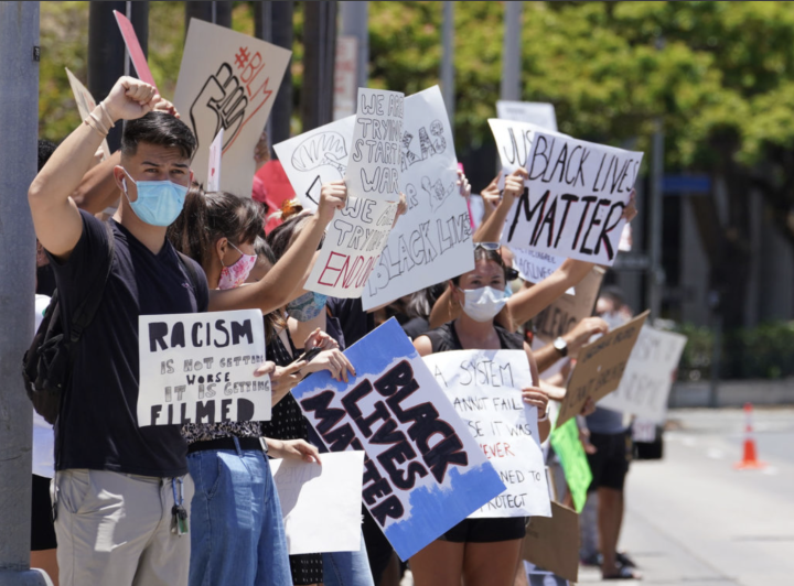 hawaii protest.png