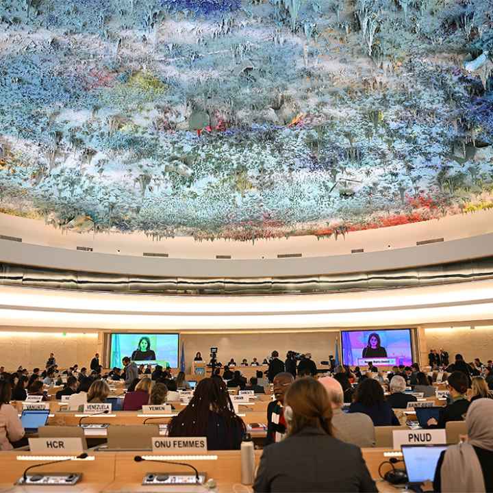The United Nations Human Rights Council during a meeting at the United Nations in Geneva, Switzerland.