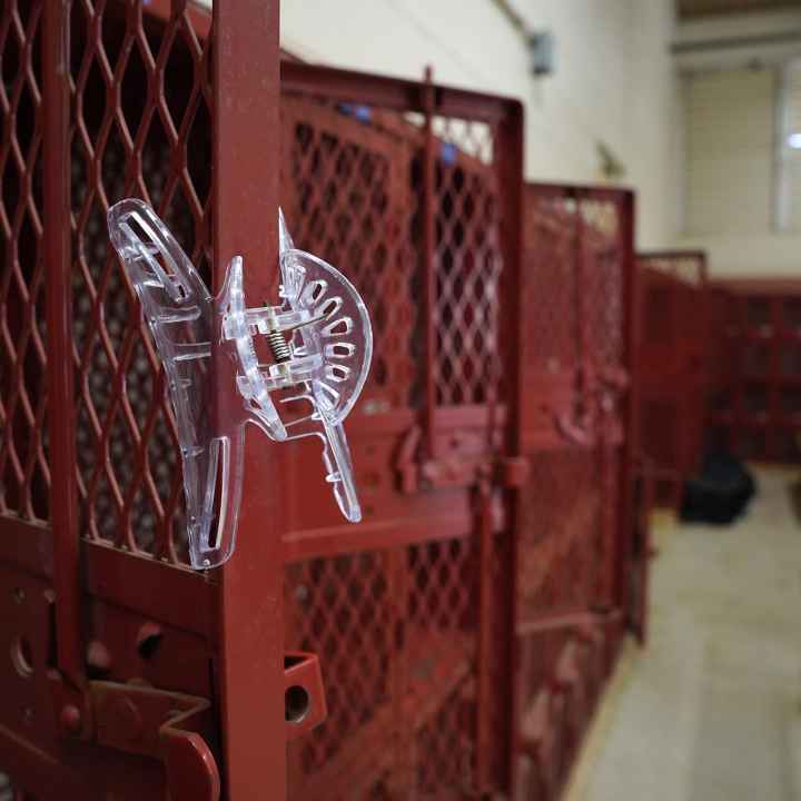 240212-kf-Radford-High-School-Title-IX-034.jpg
