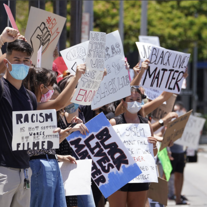 hawaii protest.png