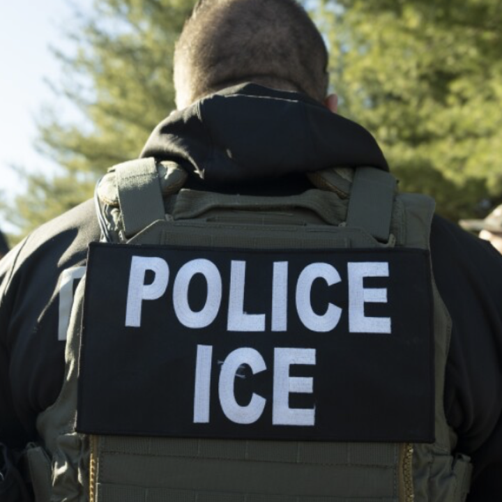 ICE Hawai'i.png